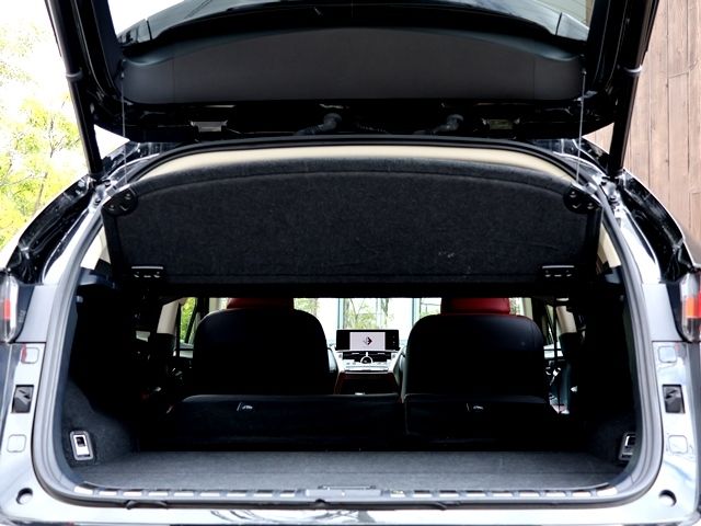 LEXUS NX300