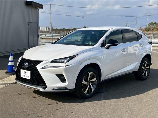 LEXUS NX300h