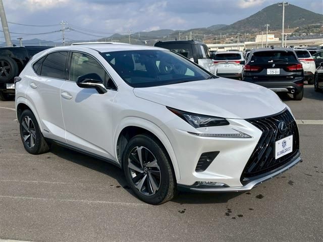 LEXUS NX300h