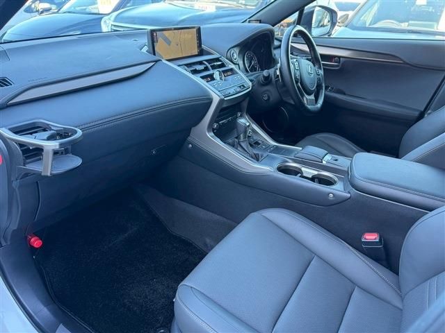 LEXUS NX300h