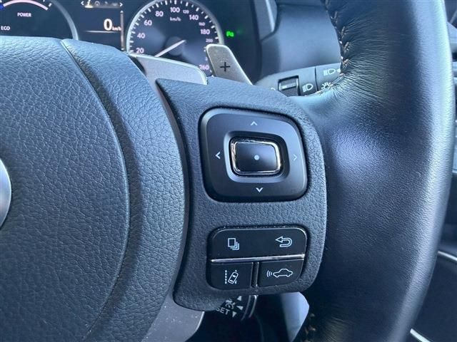 LEXUS NX300h