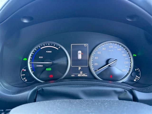 LEXUS NX300h
