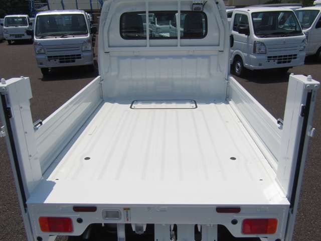 CARRY truck