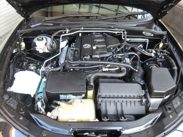 ROADSTER