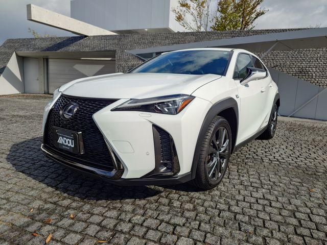 LEXUS UX250h