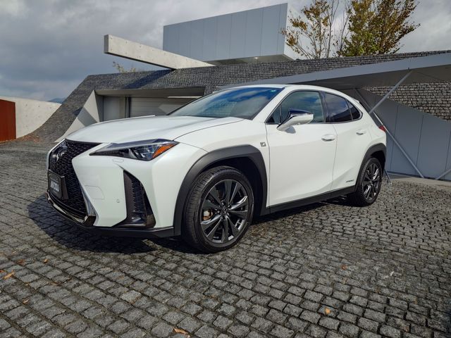 LEXUS UX250h