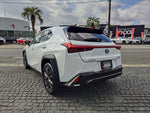 LEXUS UX250h