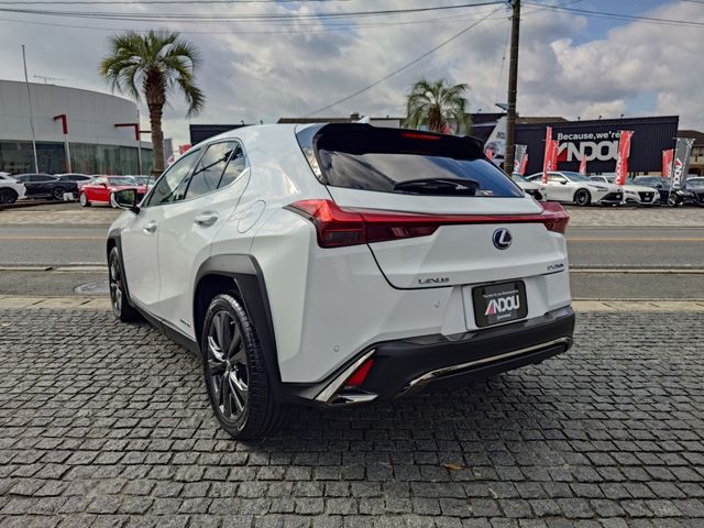 LEXUS UX250h