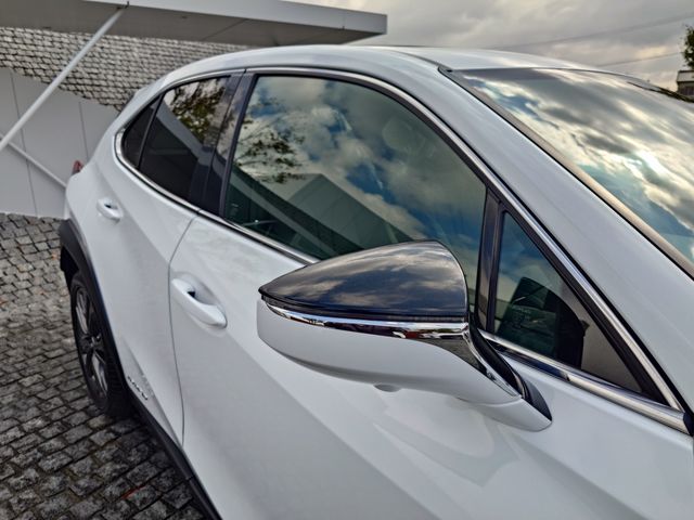 LEXUS UX250h