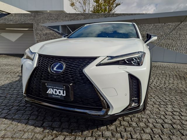 LEXUS UX250h