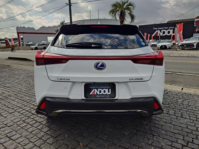 LEXUS UX250h