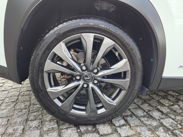 LEXUS UX250h