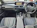 LEXUS UX250h