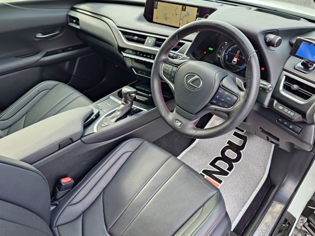 LEXUS UX250h