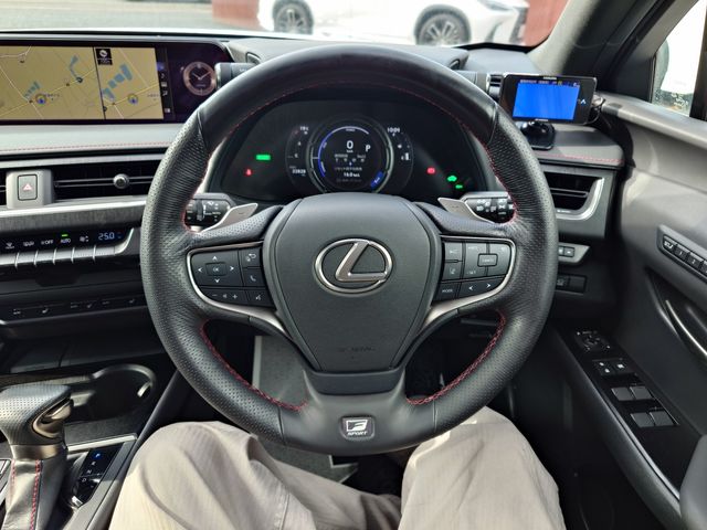 LEXUS UX250h