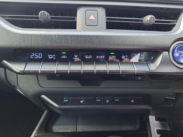 LEXUS UX250h