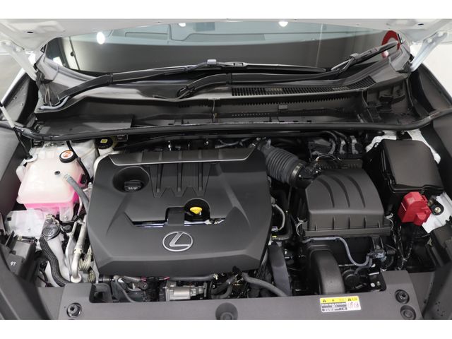 LEXUS LBX