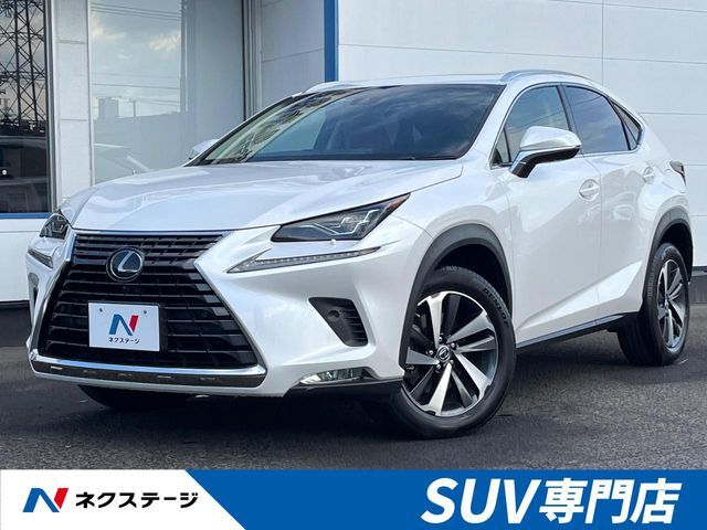 LEXUS NX300