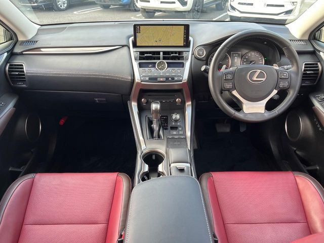 LEXUS NX300