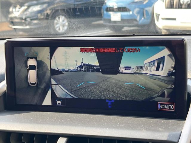 LEXUS NX300