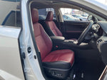 LEXUS NX300