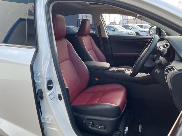 LEXUS NX300