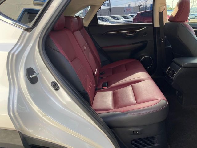 LEXUS NX300