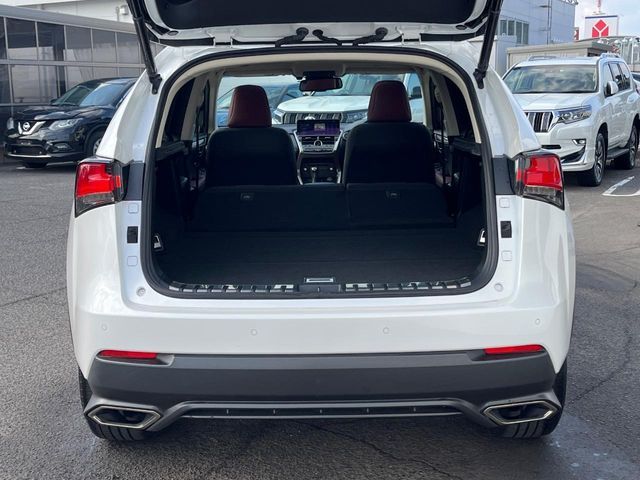 LEXUS NX300