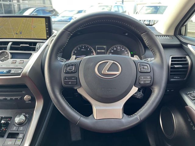 LEXUS NX300