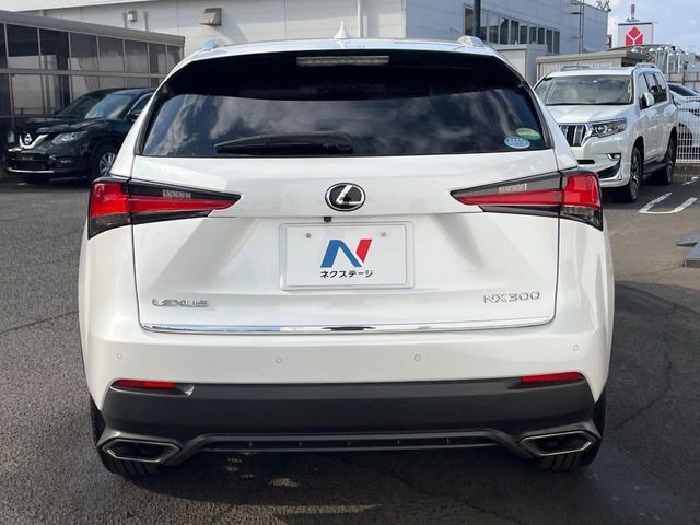 LEXUS NX300