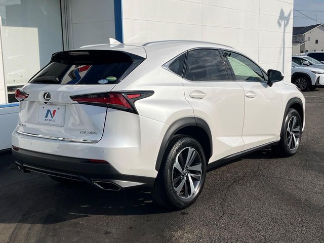 LEXUS NX300