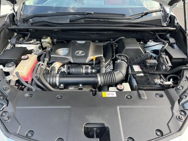 LEXUS NX300