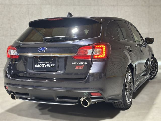 LEVORG