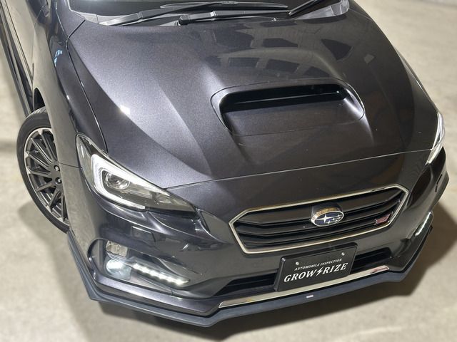 LEVORG