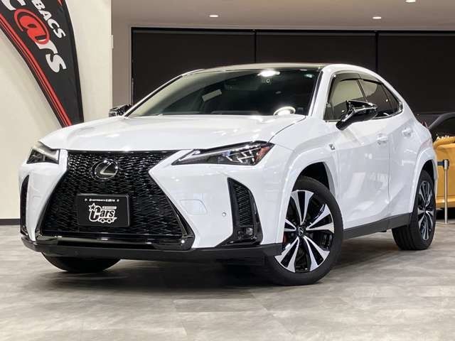 LEXUS UX250h AWD