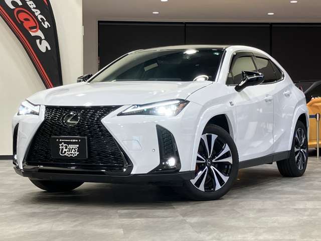 LEXUS UX250h AWD