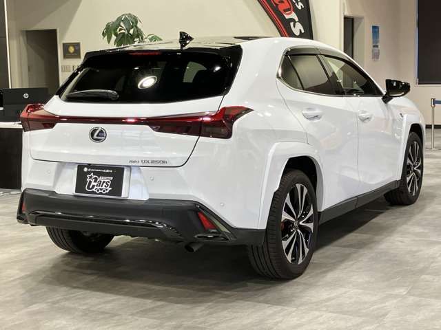 LEXUS UX250h AWD