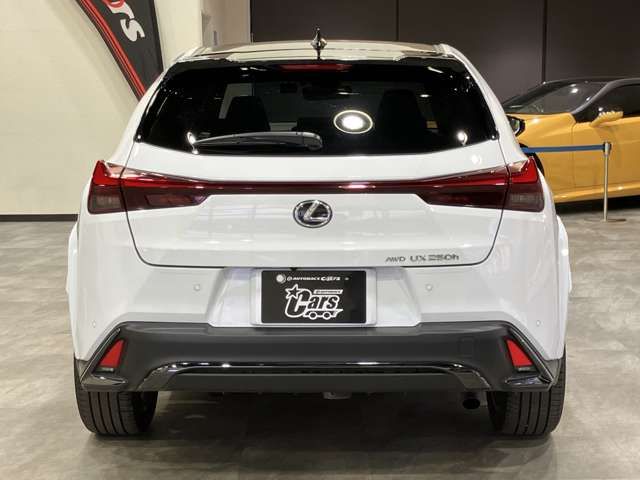 LEXUS UX250h AWD