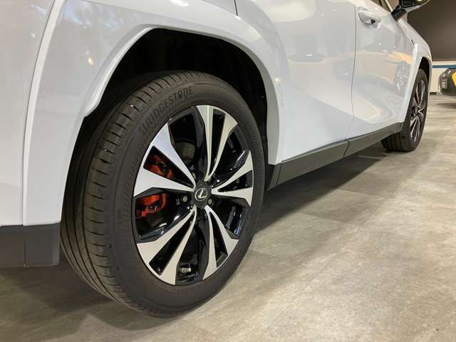 LEXUS UX250h AWD