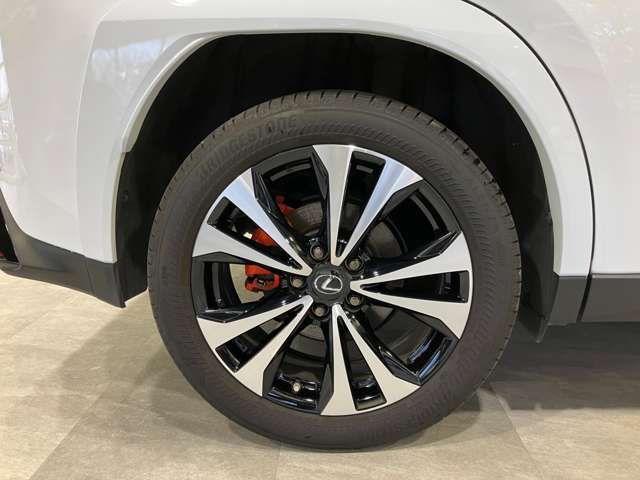 LEXUS UX250h AWD