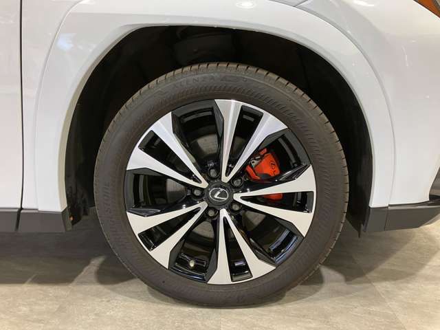 LEXUS UX250h AWD