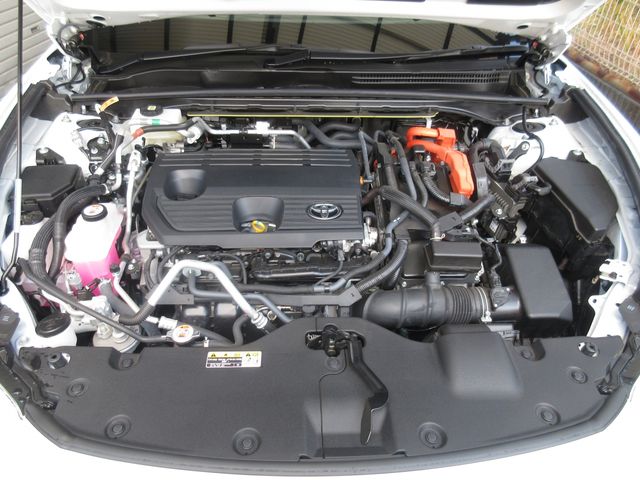 CROWN SPORT
