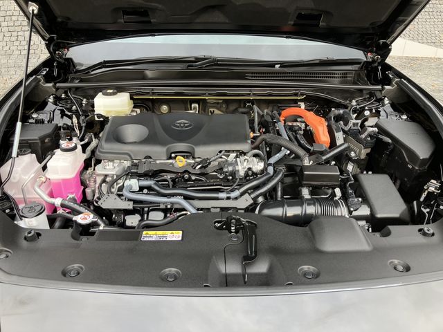 CROWN CROSSOVER