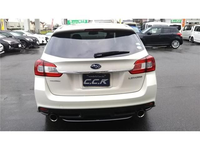 LEVORG