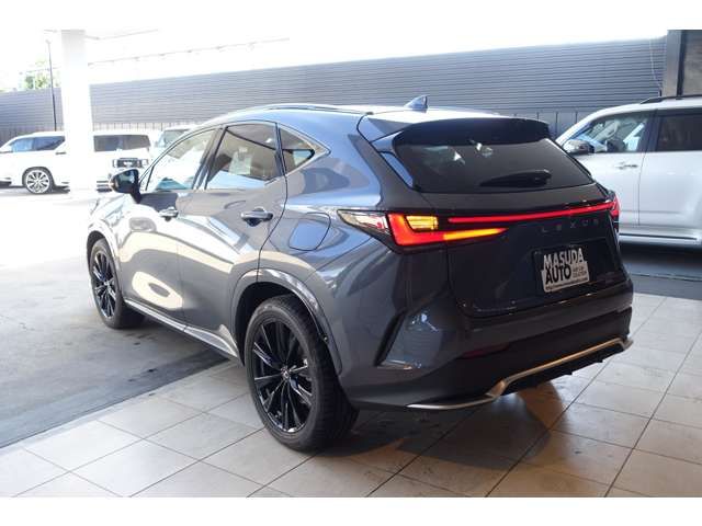 LEXUS NX450h+ AWD