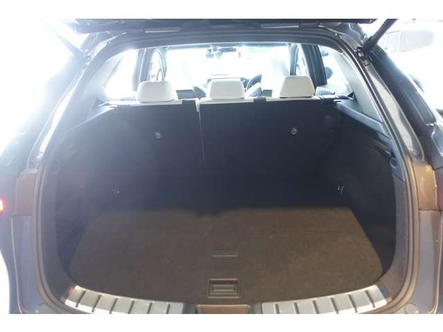 LEXUS NX450h+ AWD