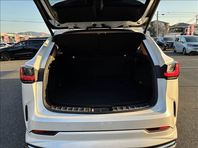 LEXUS NX350h