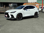 LEXUS NX450h+ AWD