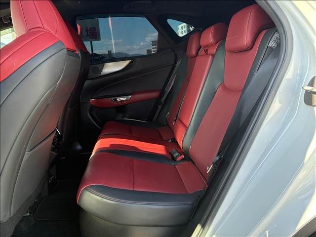 LEXUS NX450h+ AWD