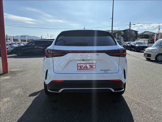 LEXUS NX450h+ AWD